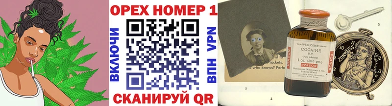 Cocaine FishScale  купить наркотики сайты  blacksprut маркетплейс  Судогда 