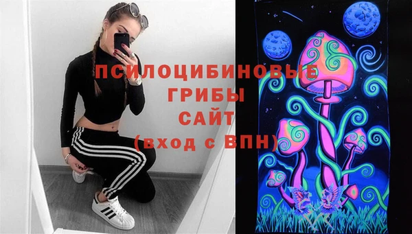 гидропоника Абаза